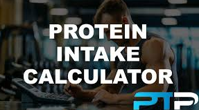 Protien Intake Calculator